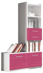 Βιβλιοθήκη Raj 1-Roz