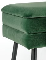 Πουφ Lavyn-Prasino-Mauro - Image 5