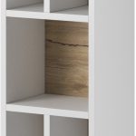 Στήλη Toldo-Leuko Fusiko