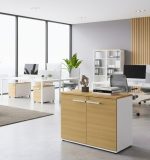 Ντουλάπι Storix-Sonoma-Leuko - Image 2