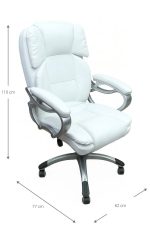 Καρέκλα διευθυντική Cerulean-Leuko - Image 3