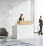 Ρεσεψιόν LobbyLink II-Leuko Fusiko - Image 2