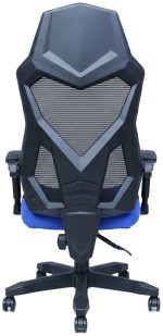 Καρέκλα Gaming Raptor Venom-Mple - Image 5