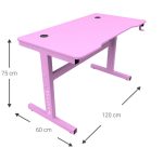 Γραφείο Gaming Raptor Falcon-Roz - Image 3