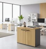 Ντουλάπι Storix-Kafe - Image 2