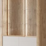 Βιτρίνα Geisha II-Fusiko