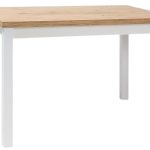 Τραπέζι Adam 100-Fusiko Leuko