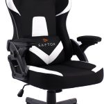 Καρέκλα Gaming Raptor Fury-Leuko