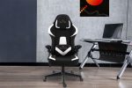 Καρέκλα Gaming Raptor Fury-Leuko - Image 2